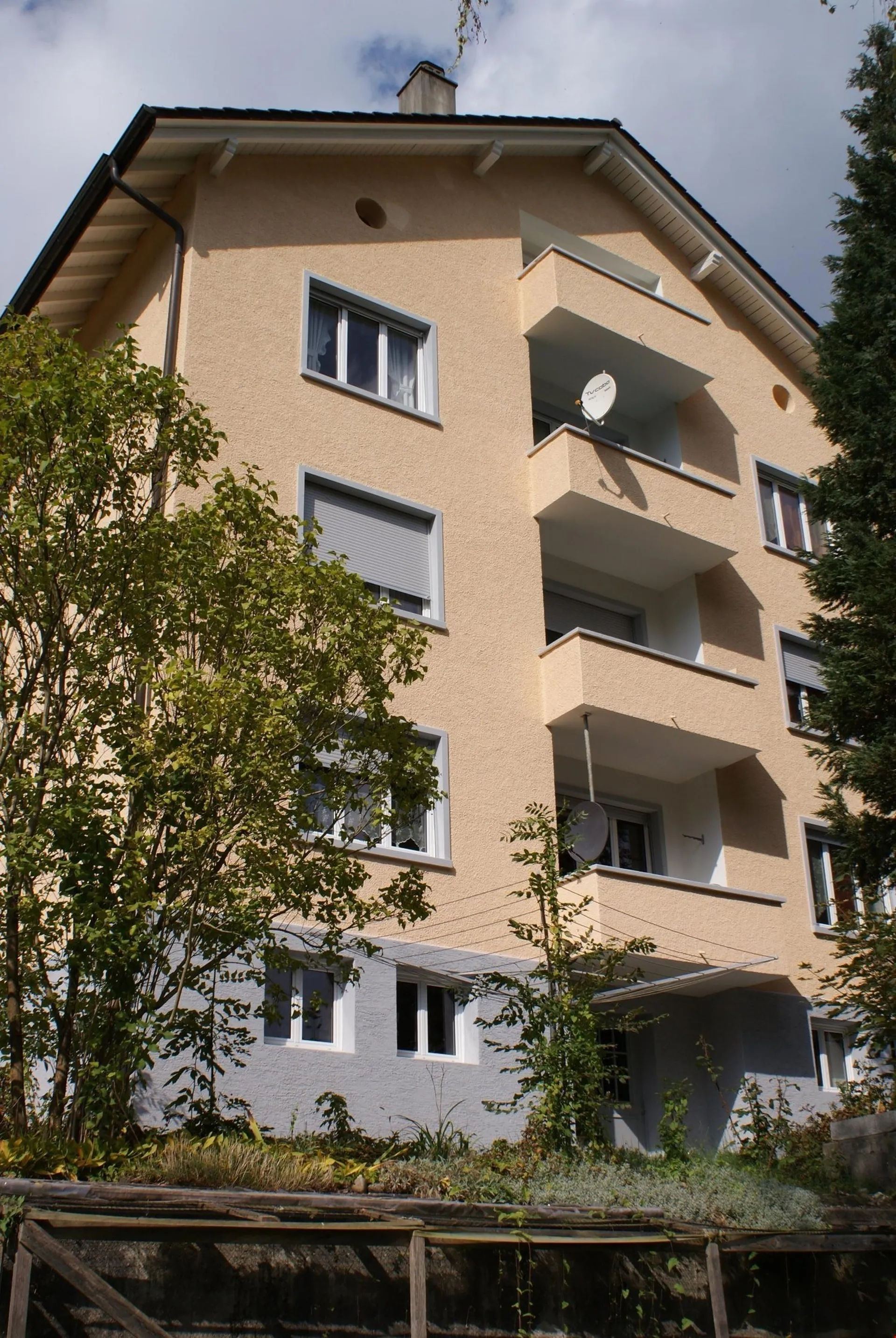 Image 9