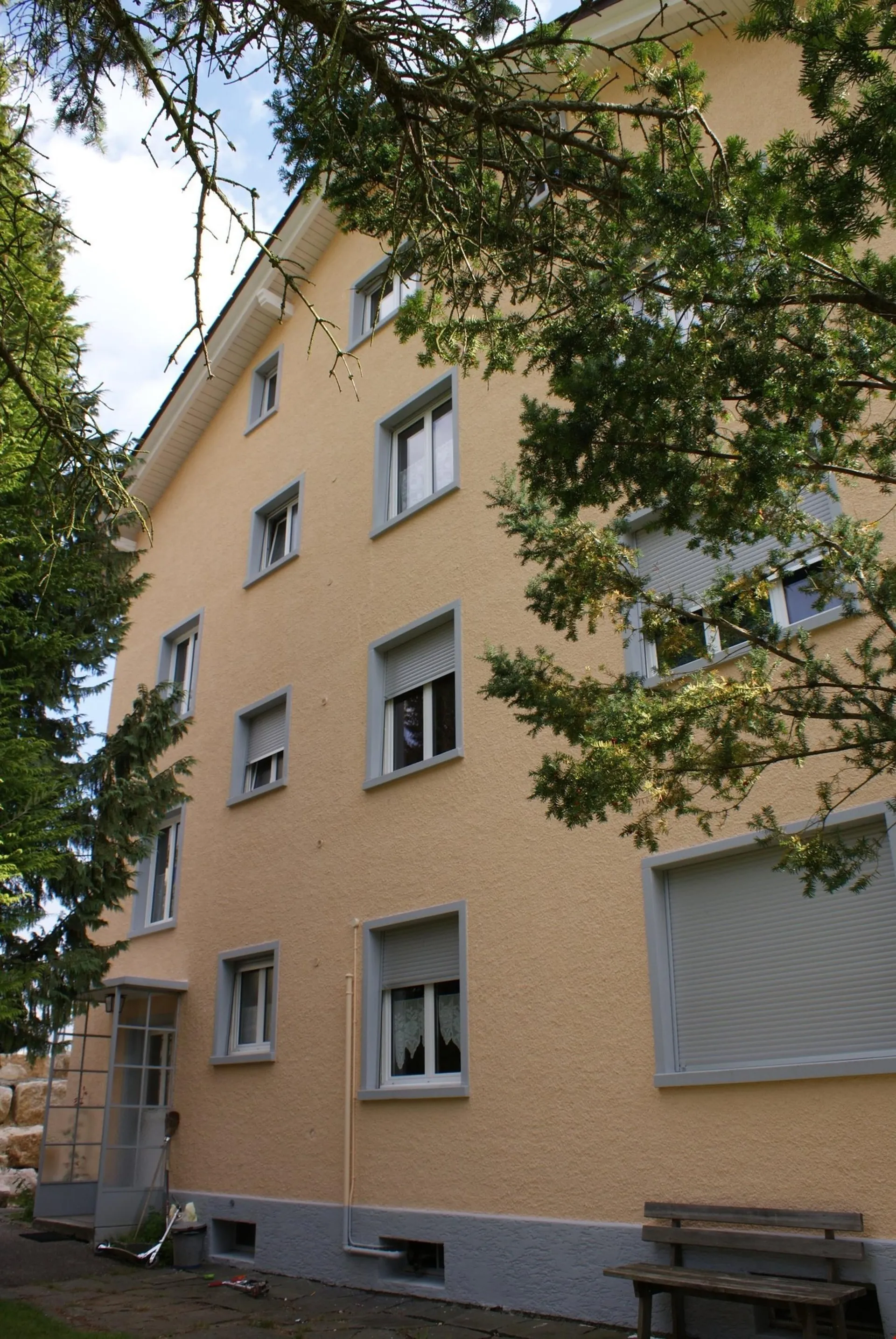 Image 13