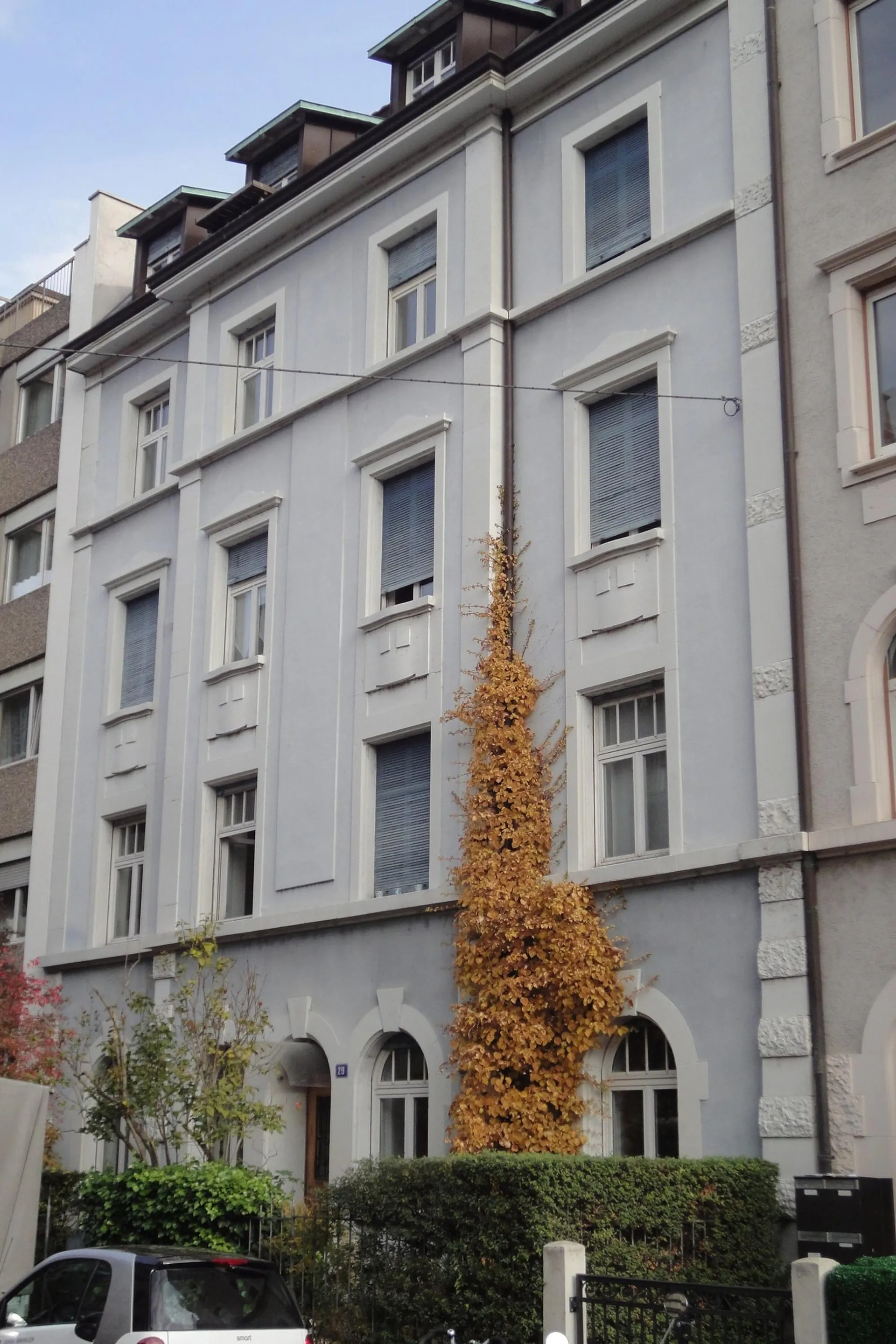 Stilvolle 3-Zimmer-Altbauwohnung mit Maisonette-Charme - in Rheinnähe