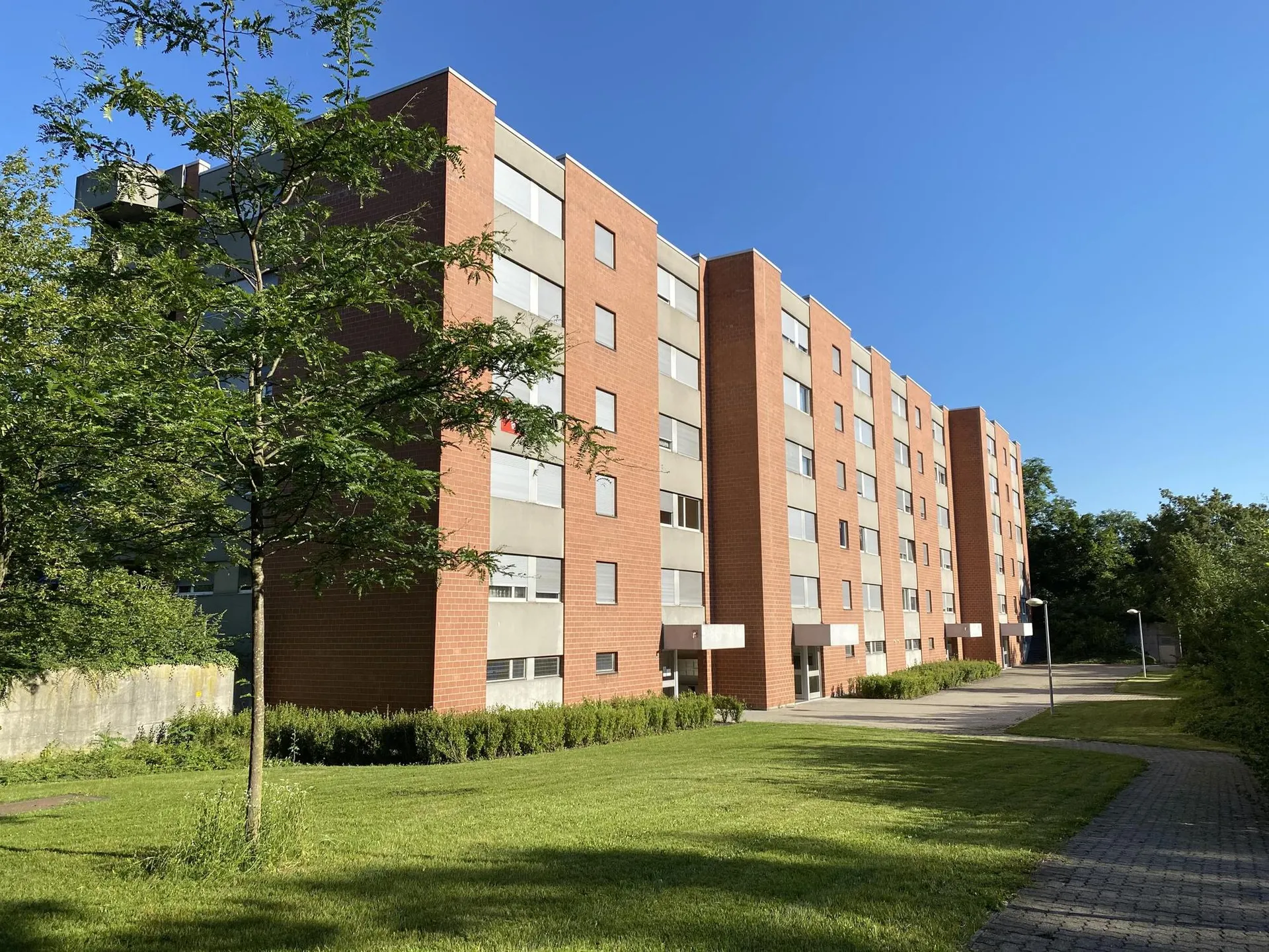Urbanes Wohnen im Grünen: 2019 sanierte 3-Zimmerwohnung in Muttenz