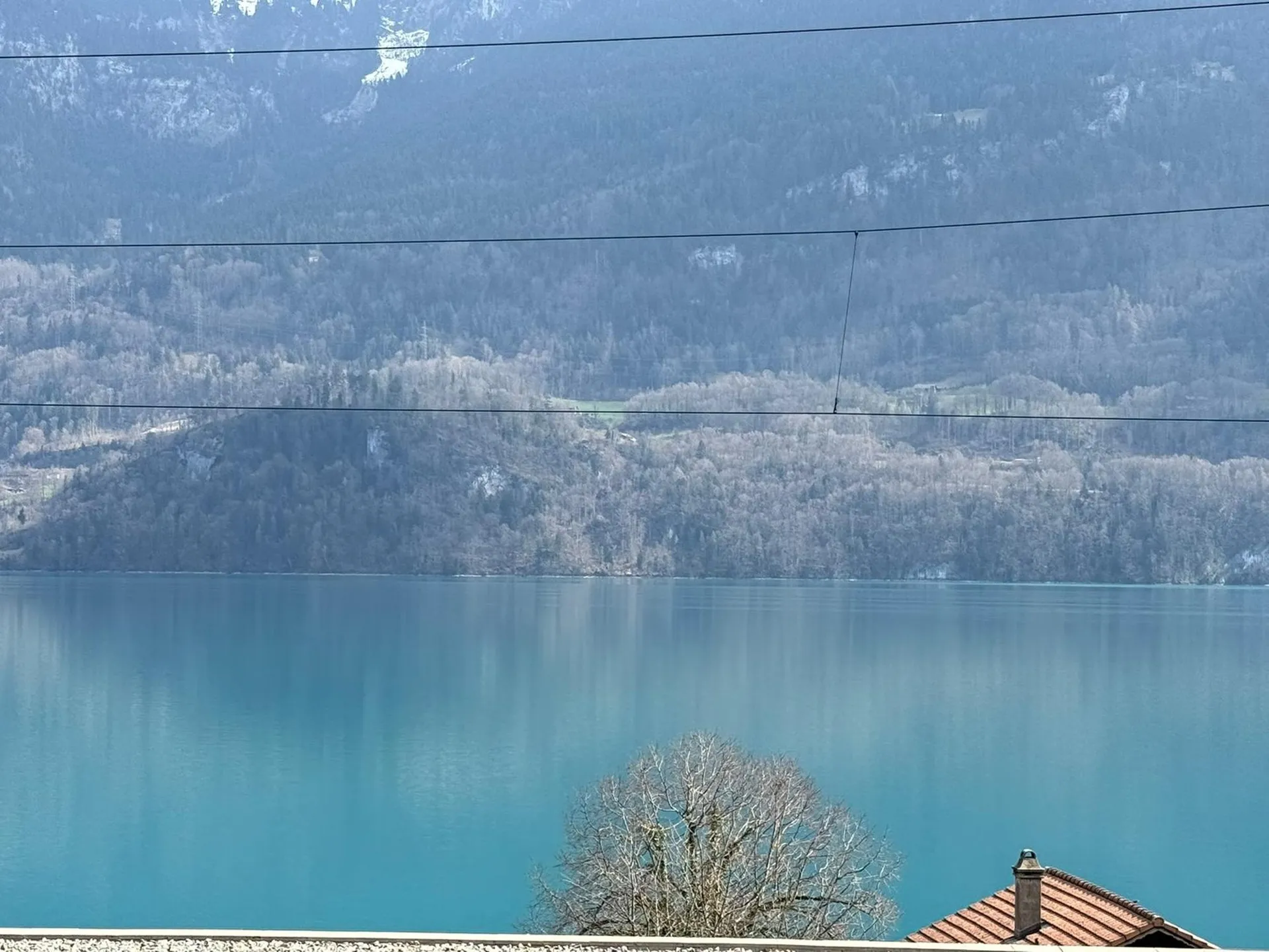 Charmantes 4.5-Zimmer-Doppeleinfamilienhaus mit Seeblick in Niederried b. Interlaken