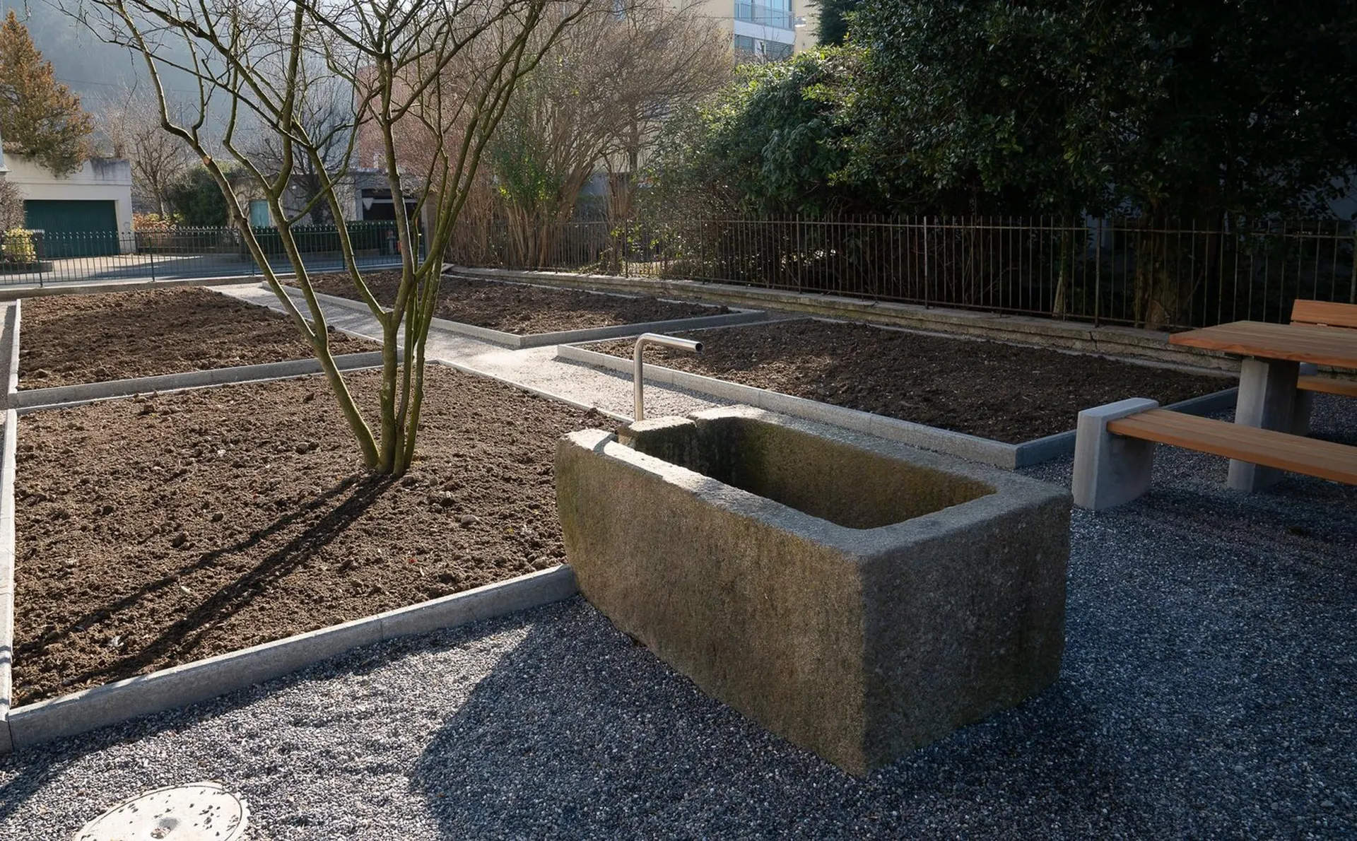 Image 20