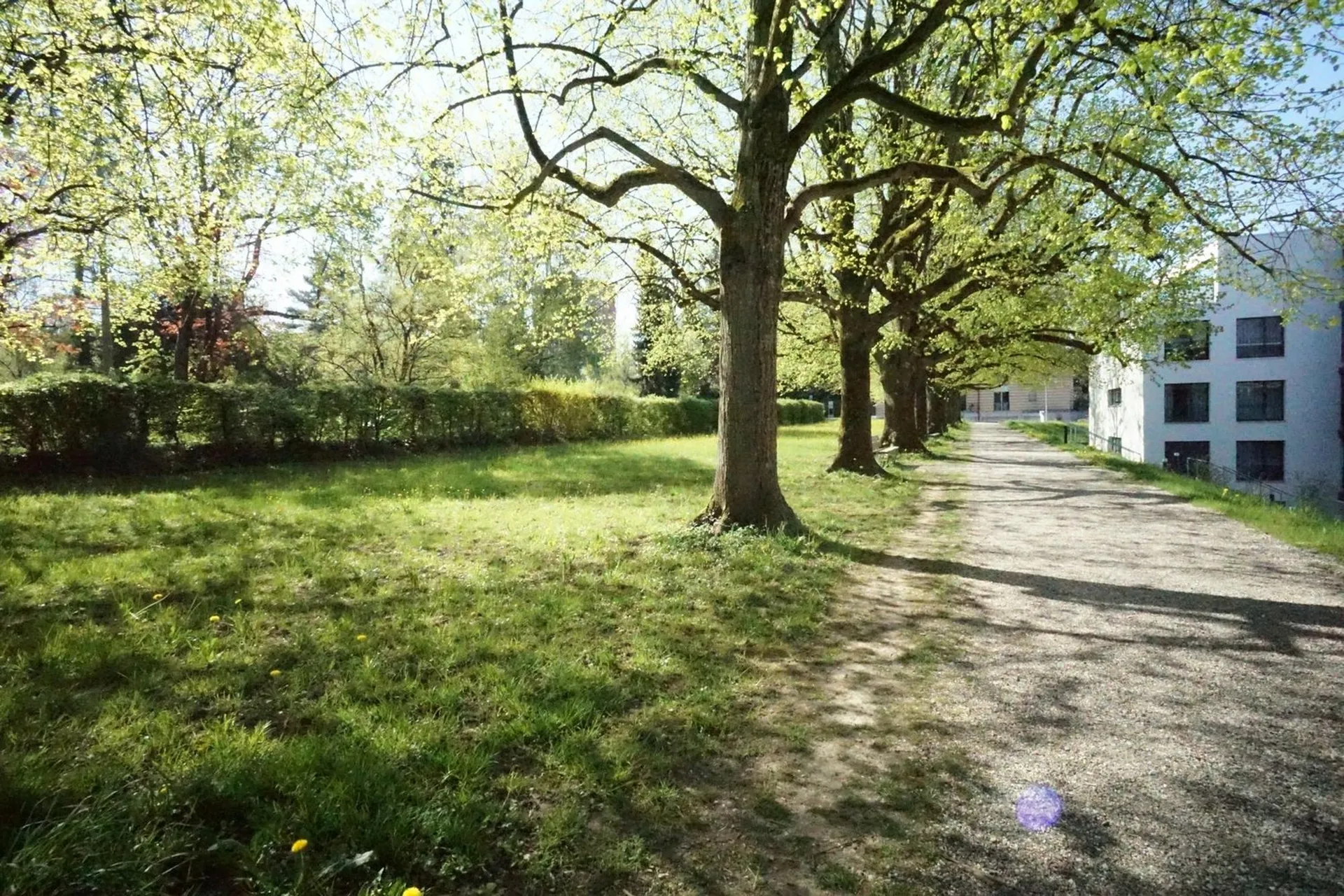 EXKLUSIVES WOHNEN IM RHEINFELDER NAHERHOLUNGSGEBIET