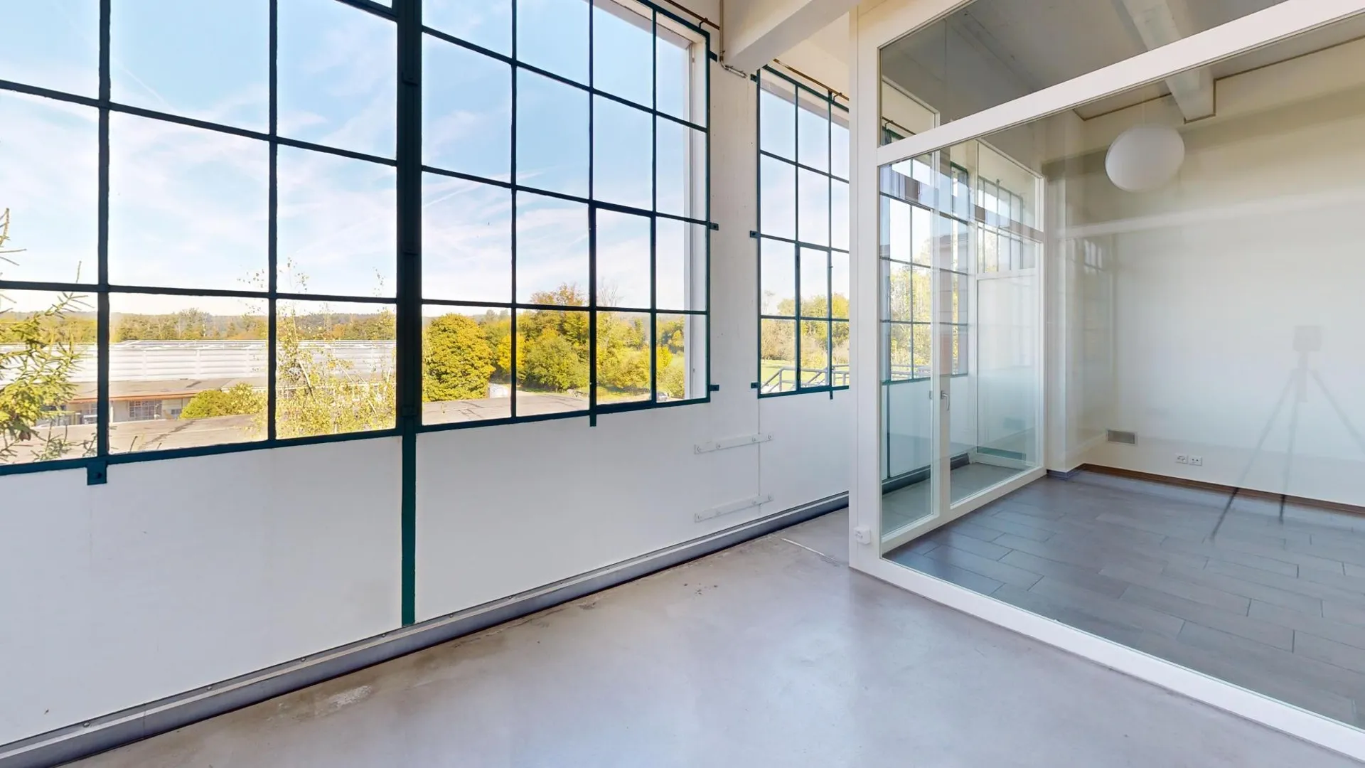 Immagine 9