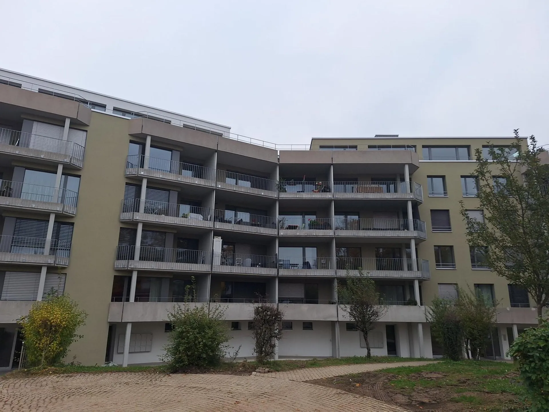 Image 6