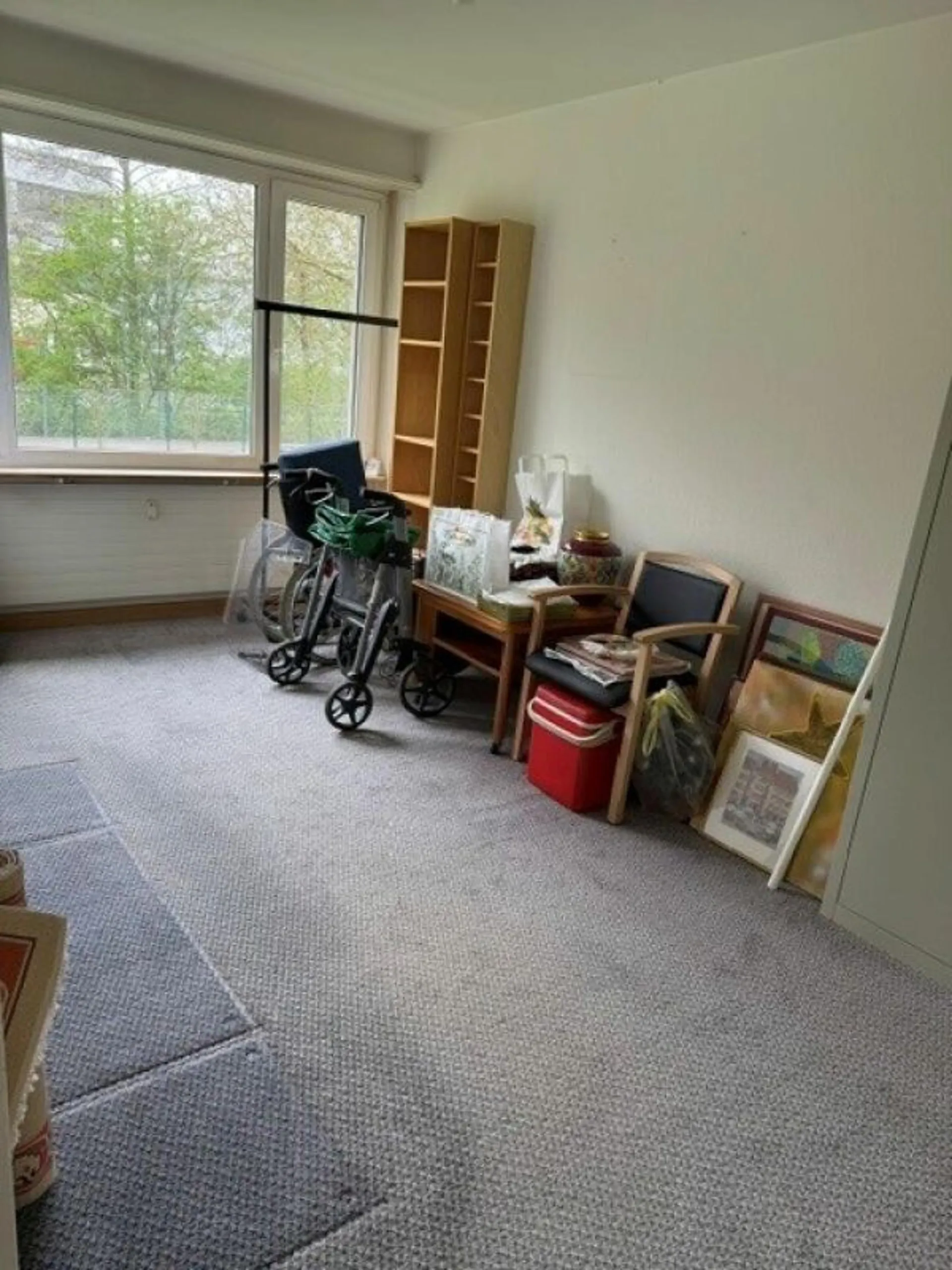 Image 6