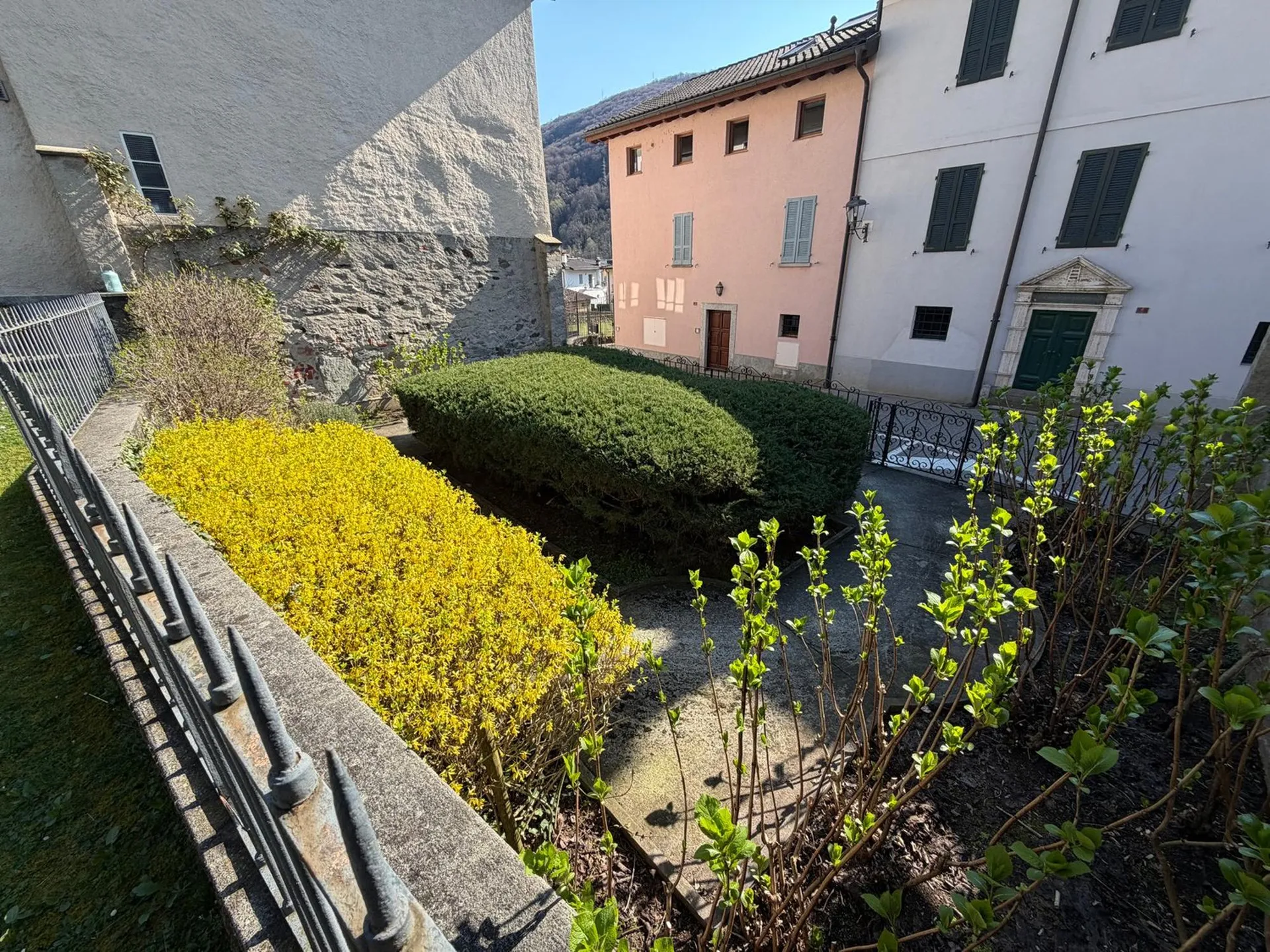 Image 12
