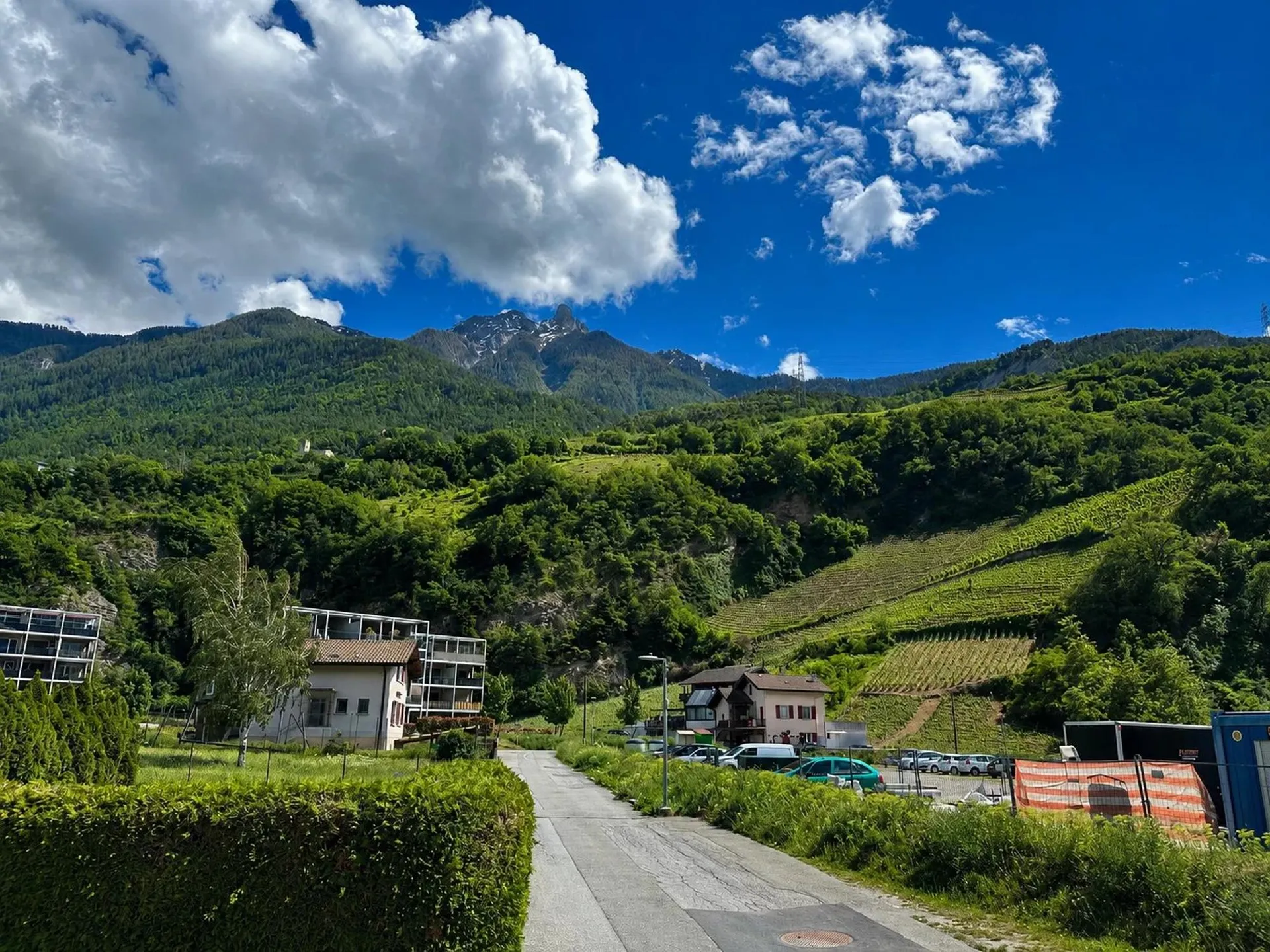 Image 11
