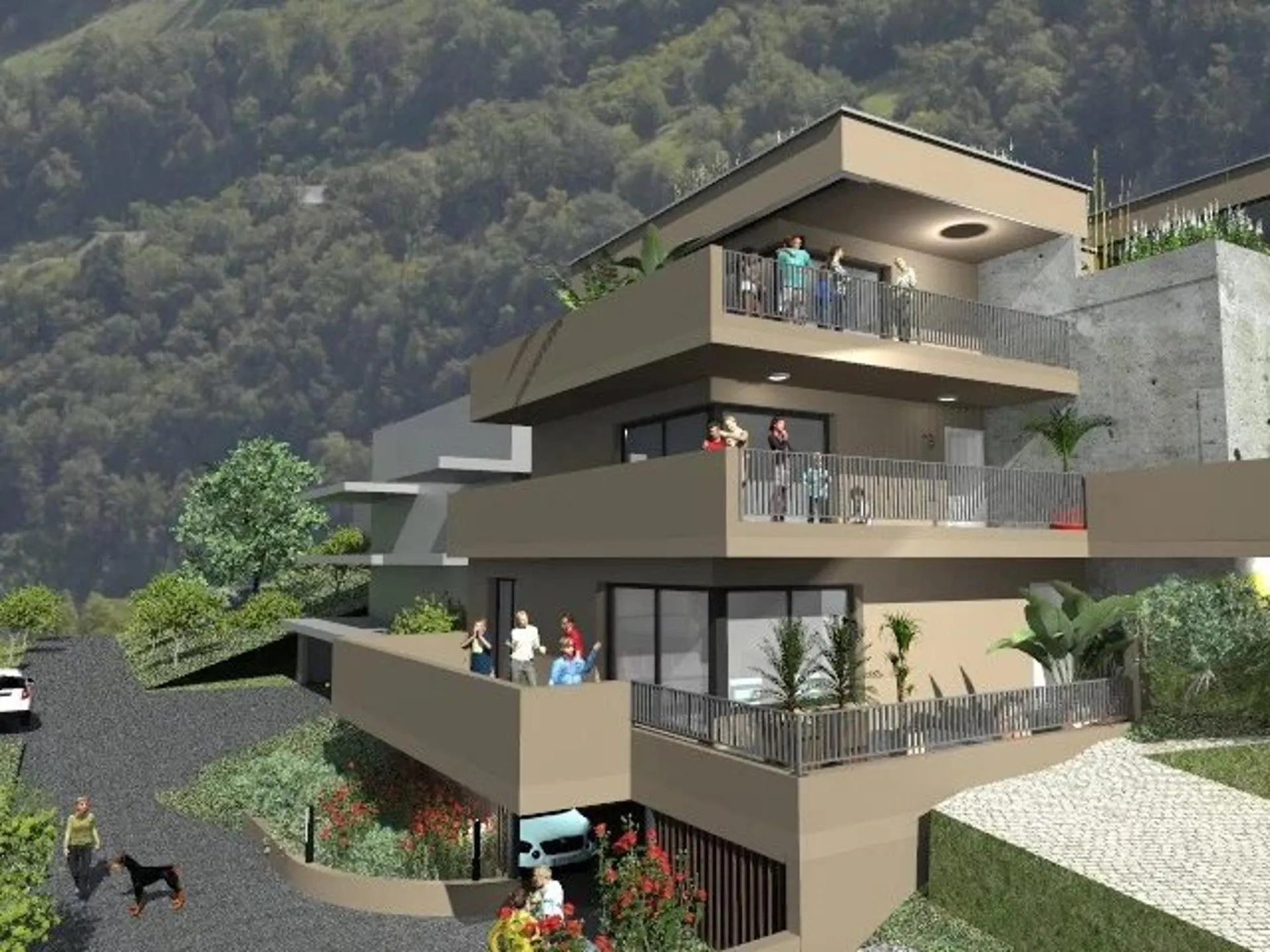 Image 5