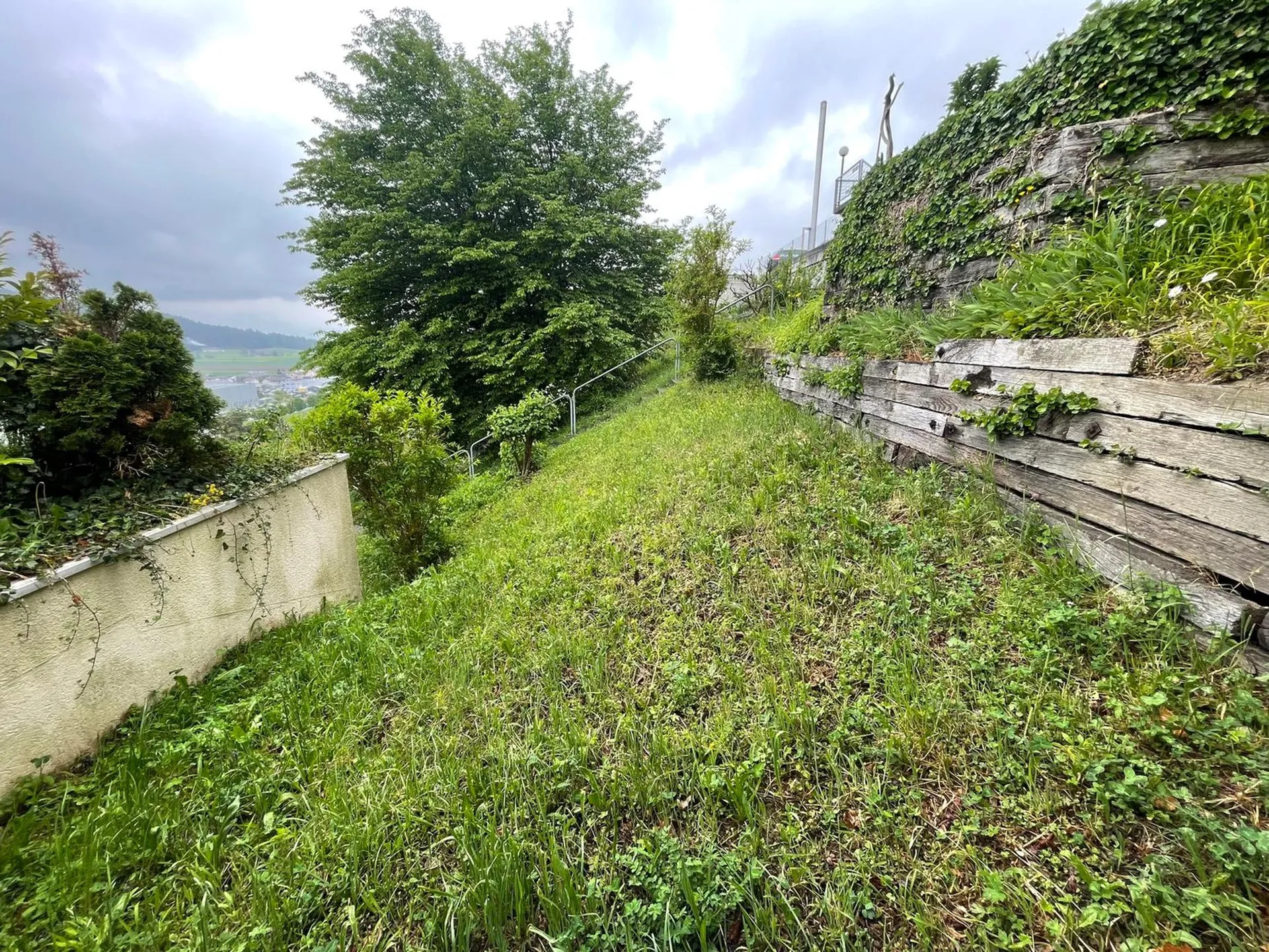 Image 10