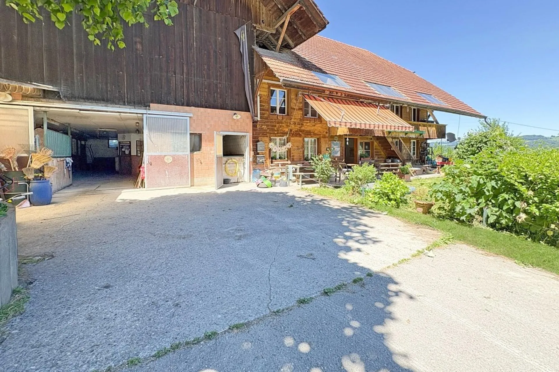 Image 5