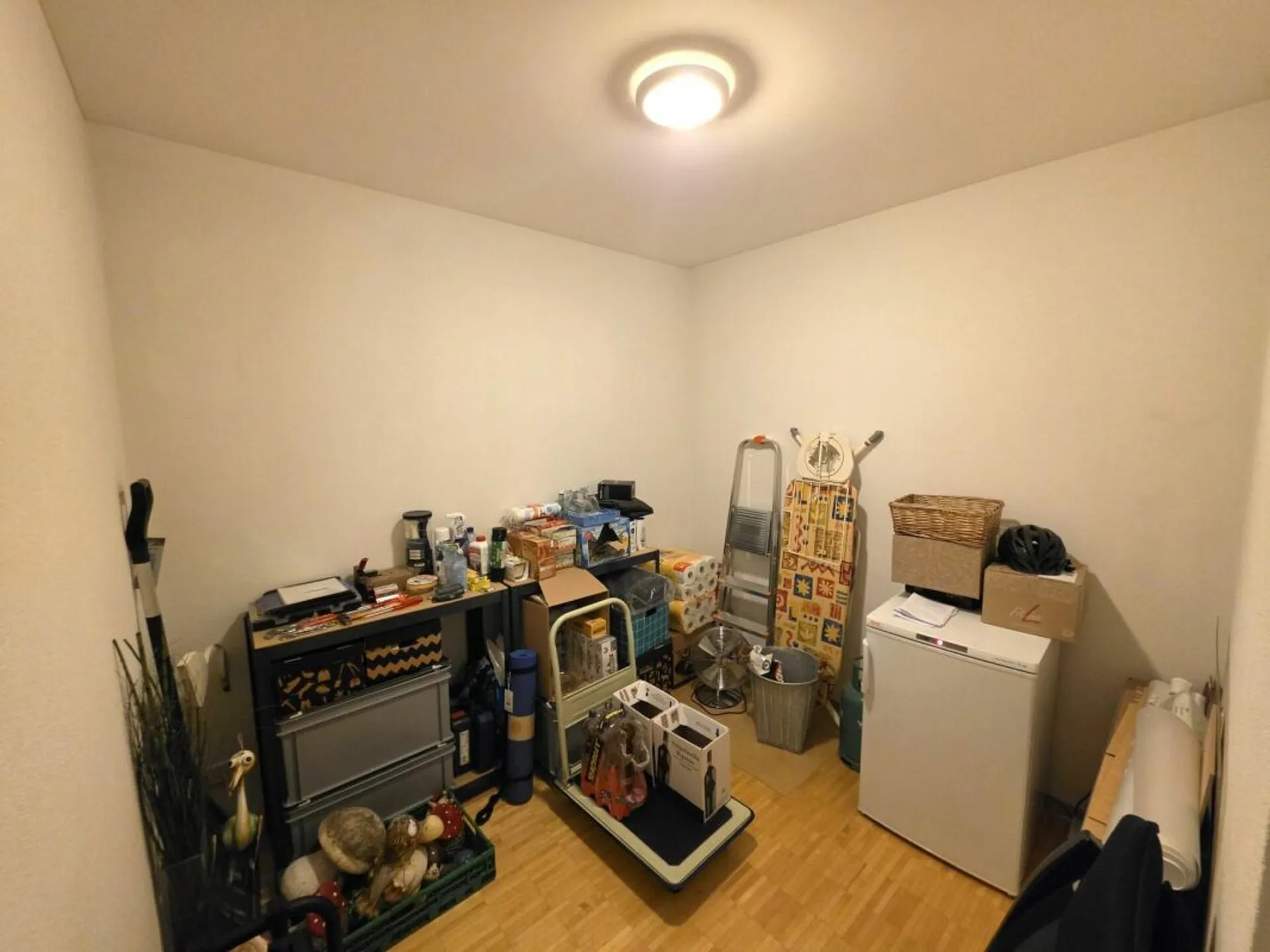 Image 12